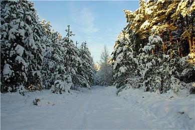 手游《最终幻想7：永恒危机》Steam版开发中